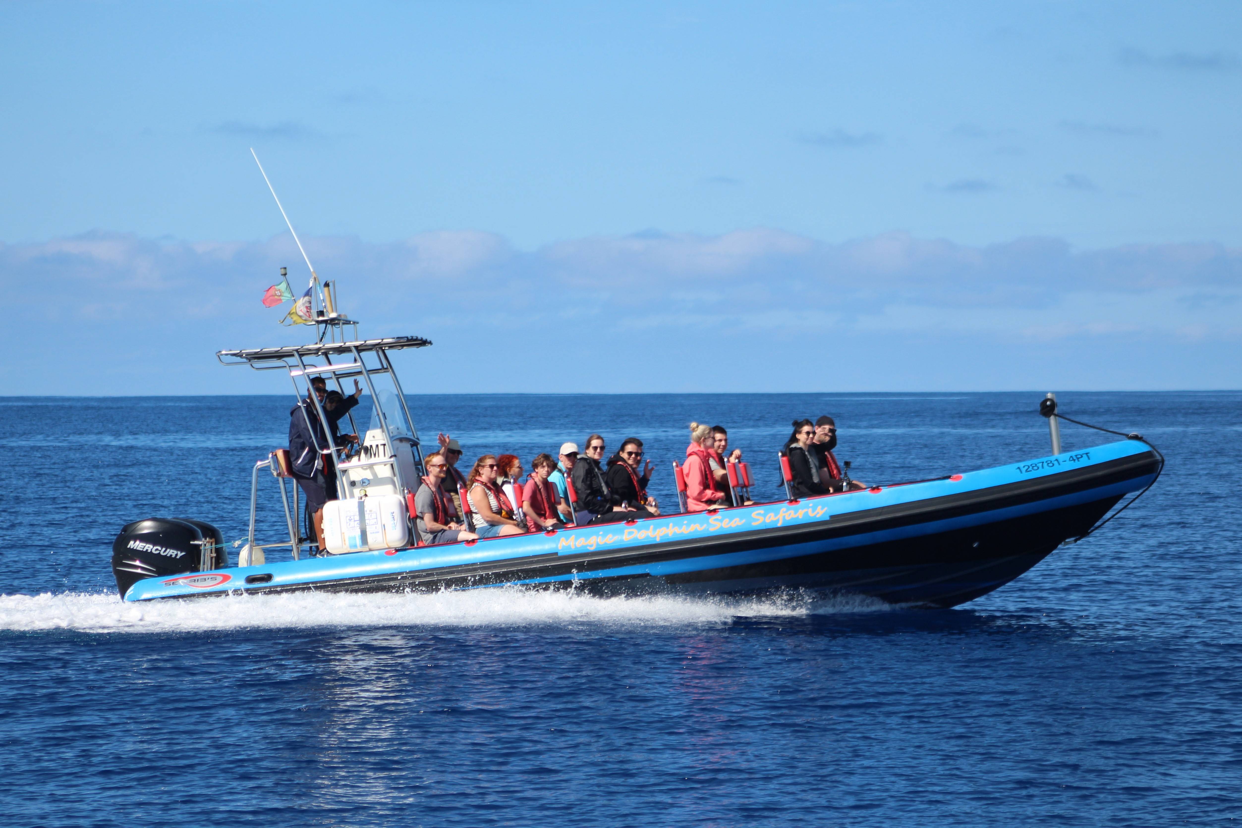 Speedboat Sea Safari